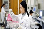 Nhà khoa học trẻ sẽ sống được bằng chất xám